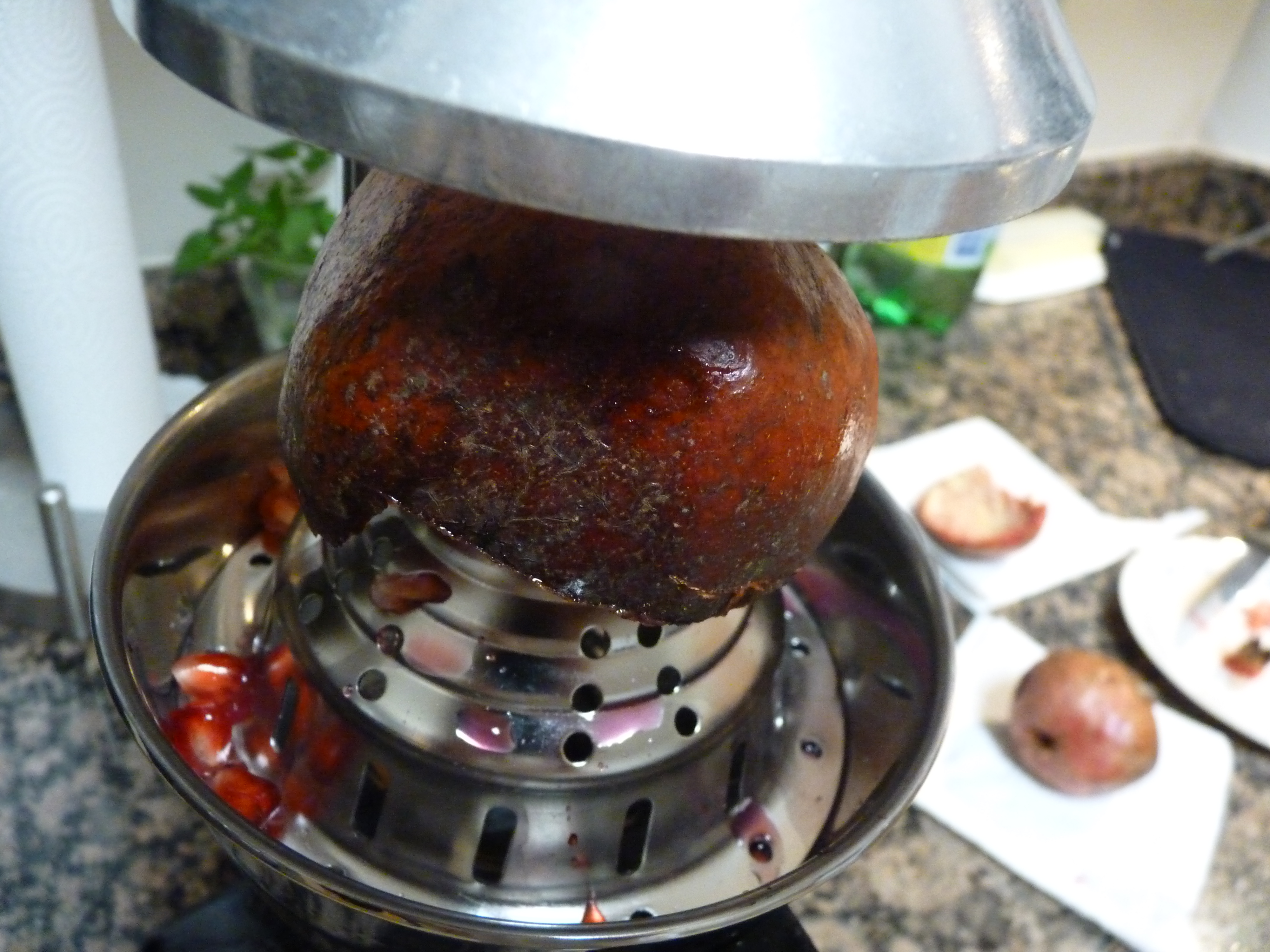 P1510006.JPG