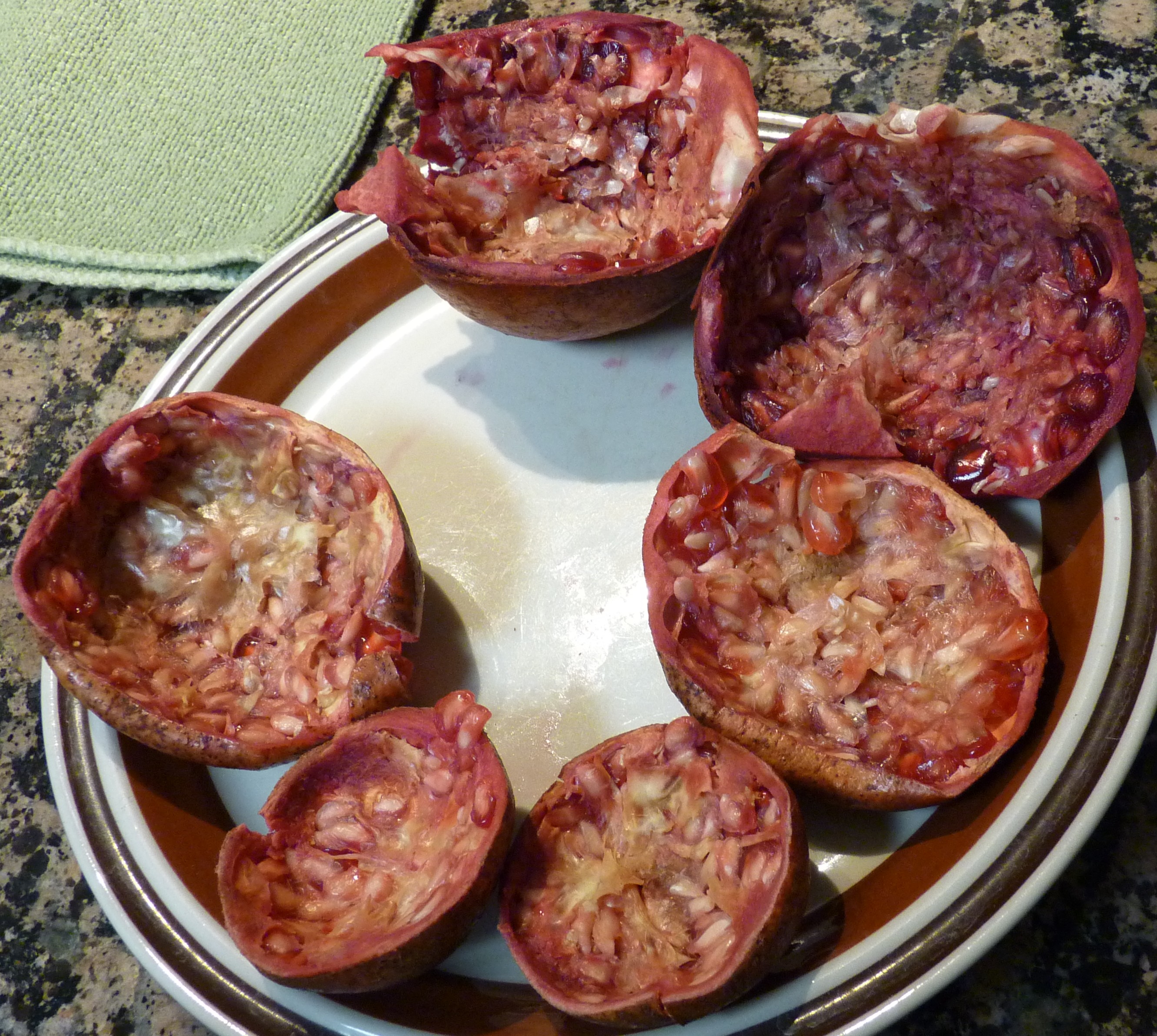 P1510593_cropped.jpg