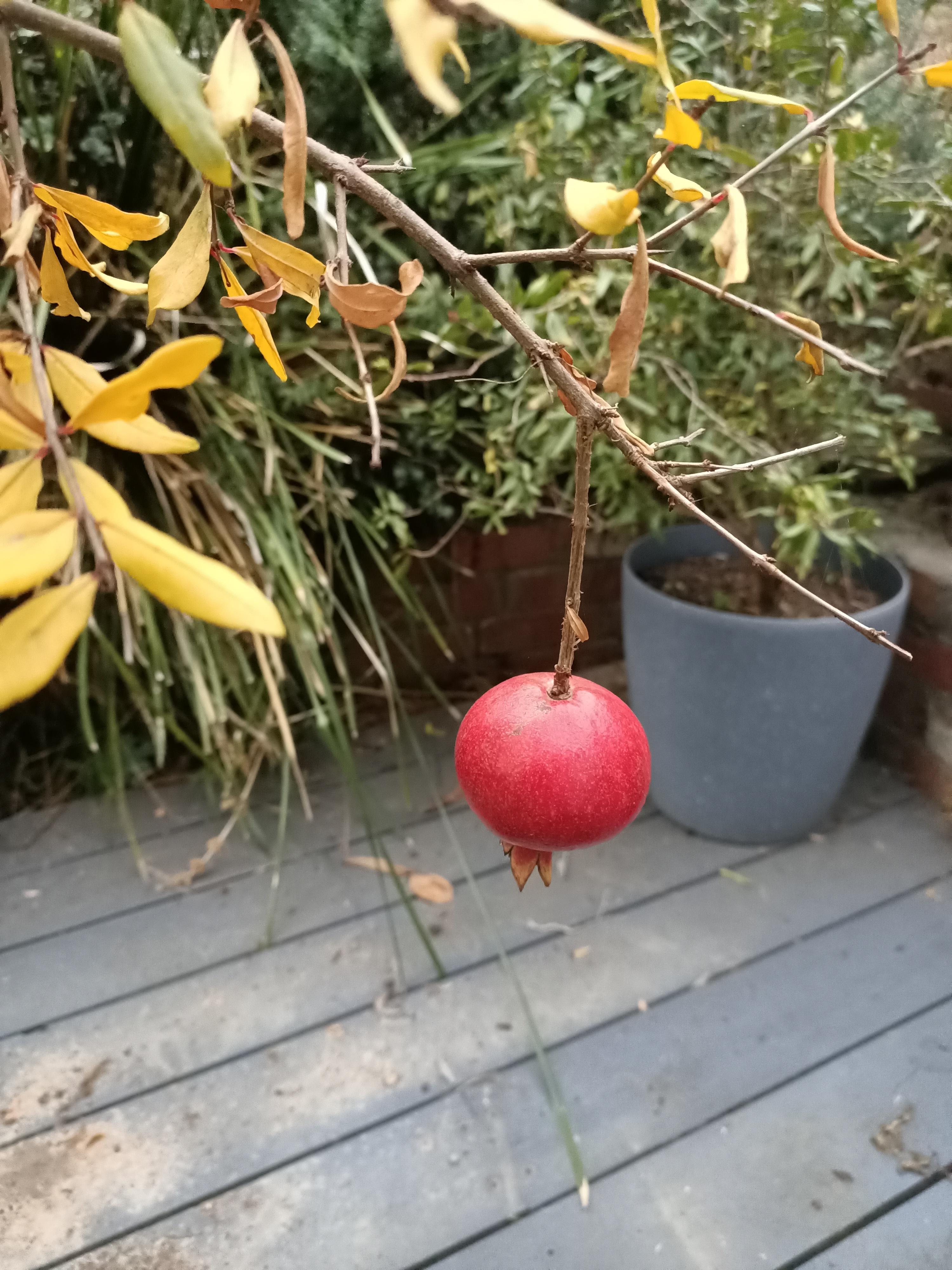IMG20220329190853.jpg