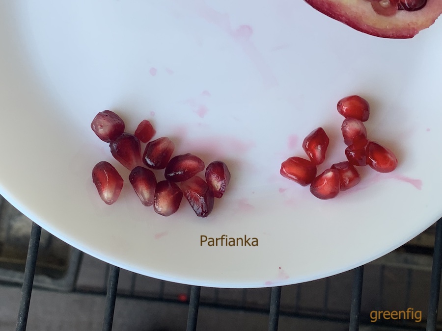 parfiankaLightDarkArils.jpeg