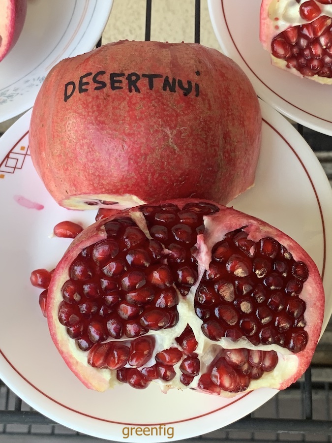 desertnyi.jpeg