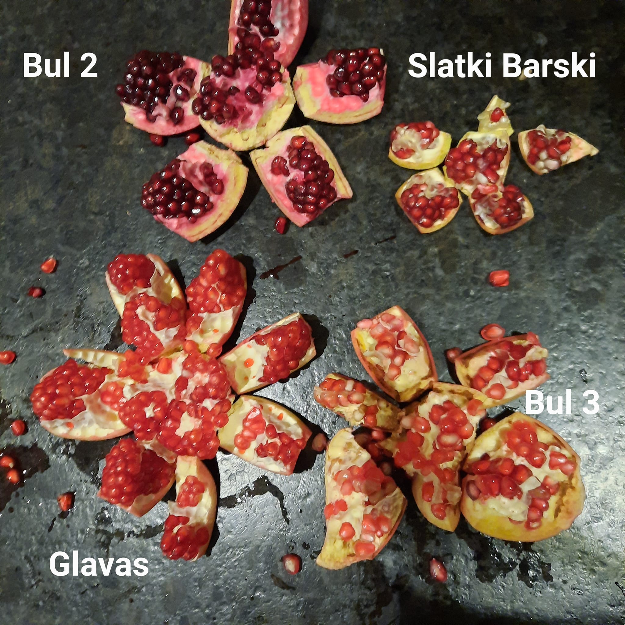 Late_Harvest2.jpg