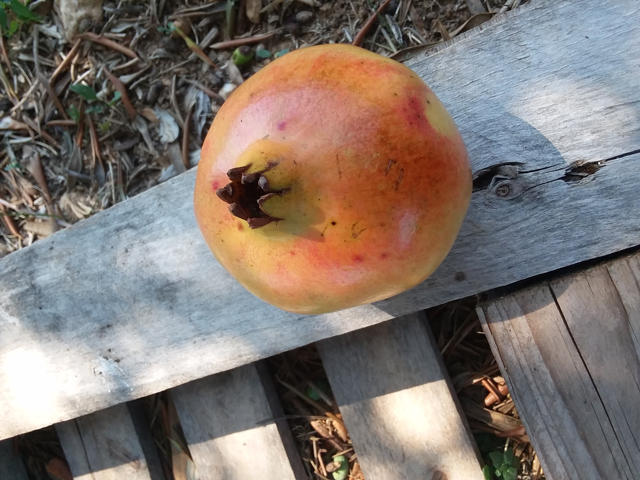20190929_123448.jpg